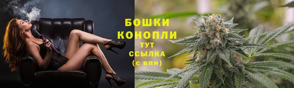 СК Пенза