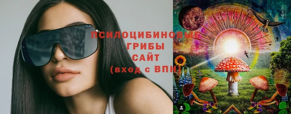 спиды Алзамай