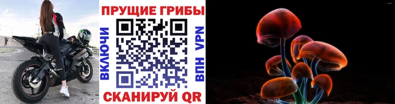 Галлюциногенные грибы MAGIC MUSHROOMS  Арамиль 